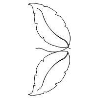 sunflower leaf border001